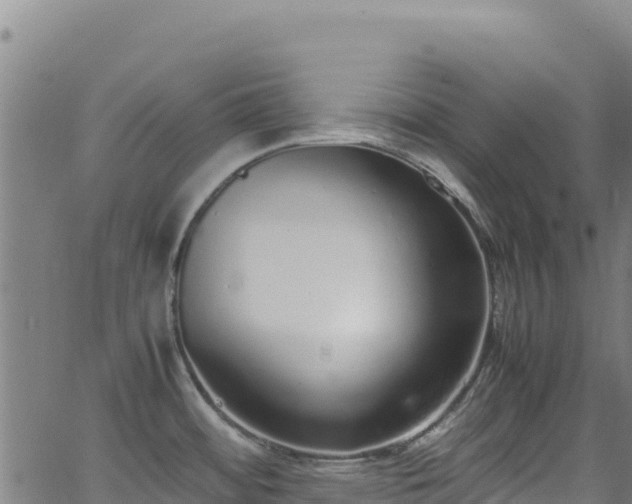 X0000062931484200601181257