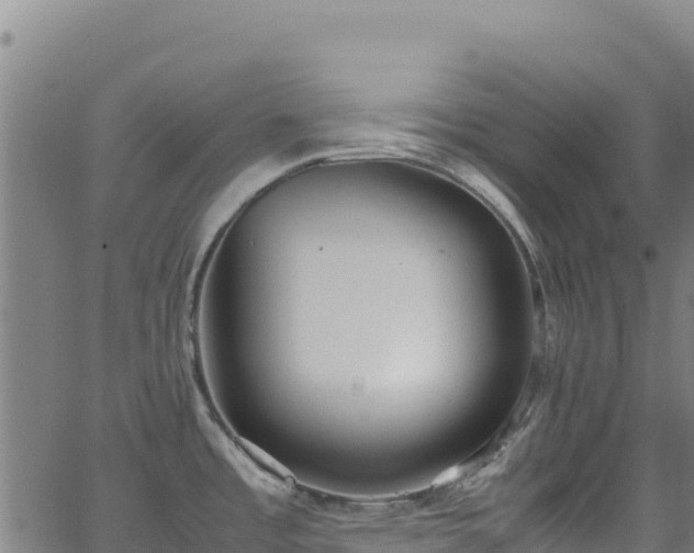 X0000062931485200601181257