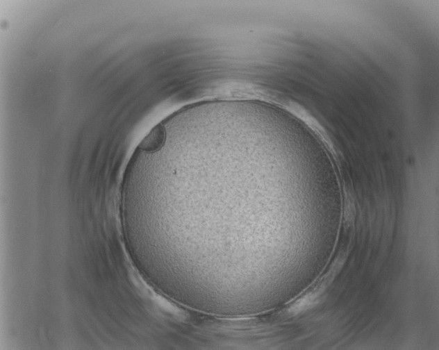 X0000062931486200601181257