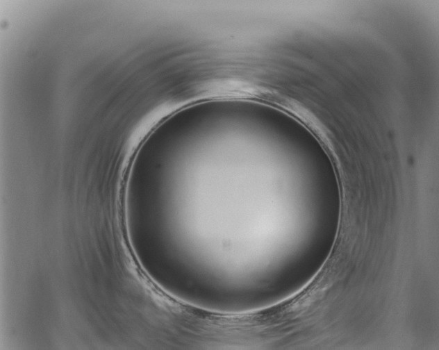 X0000062931488200601181257