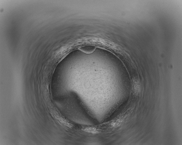 X0000062931489200601181256