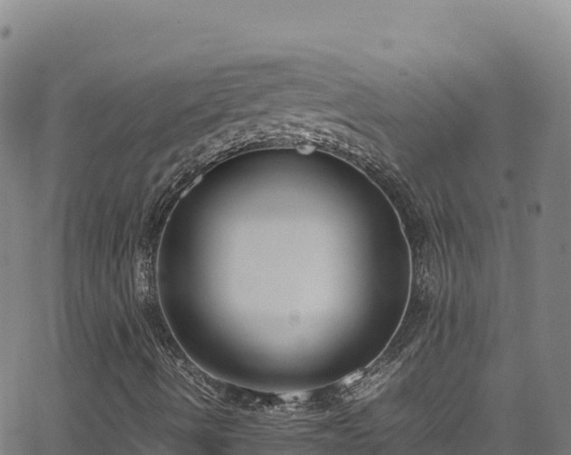 X0000062931490200601181256