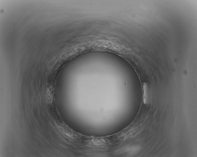 X0000062931491200601181256