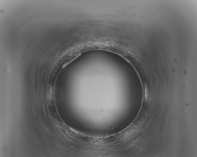 X0000062931492200601181256