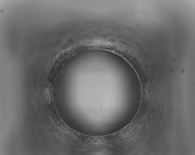 X0000062931493200601181256