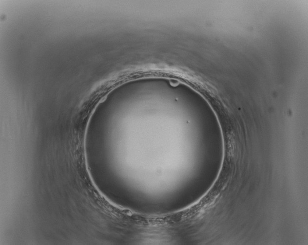 X0000062931494200601181256