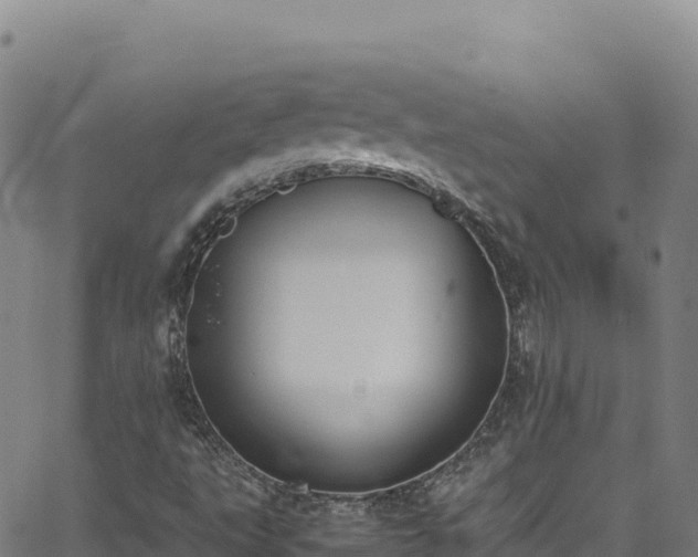 X0000062931495200601181256