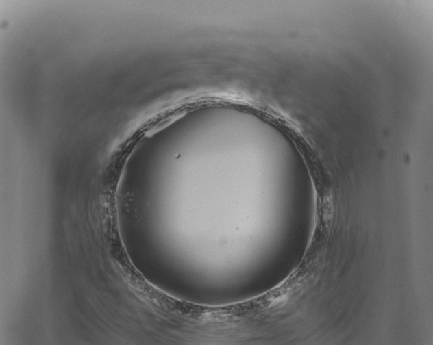 X0000062931496200601181256