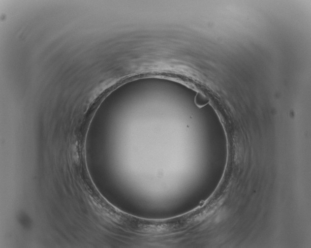 X0000062931497200601181256