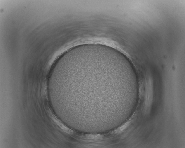 X0000062931498200601181256