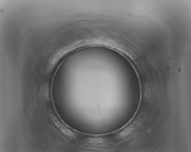 X0000062931499200601181256