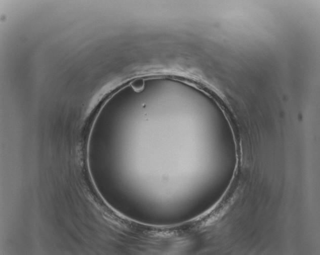 X0000062931501200601181256