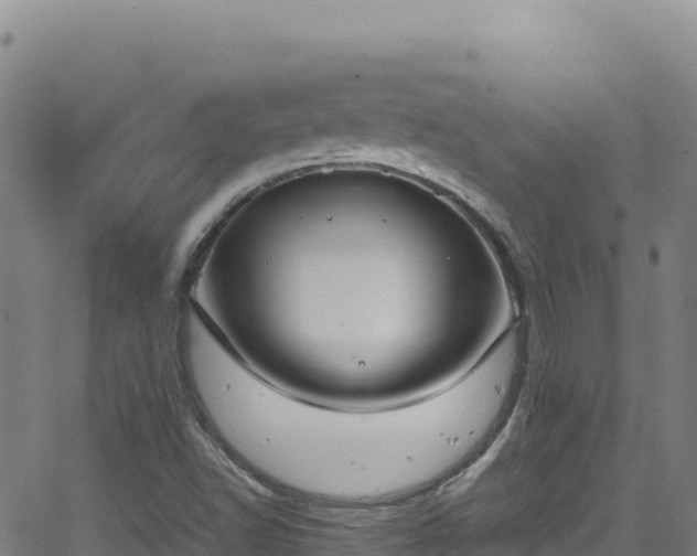 X0000062931502200601181256