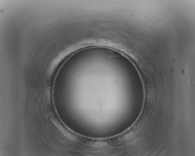 X0000062931503200601181256