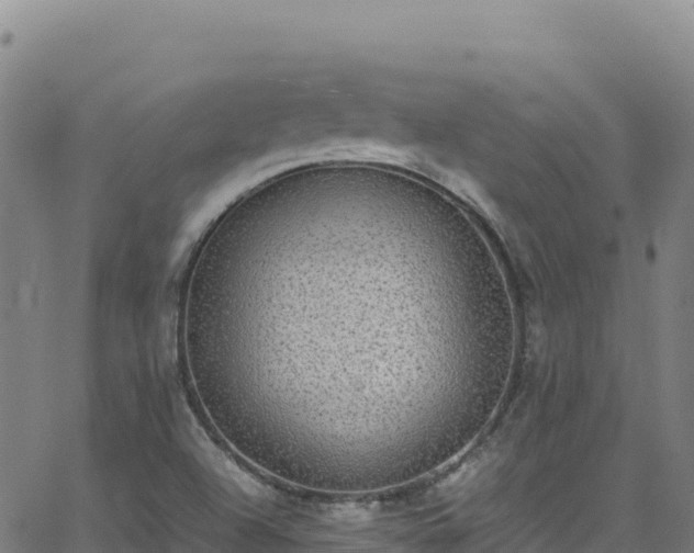 X0000062931504200601181256