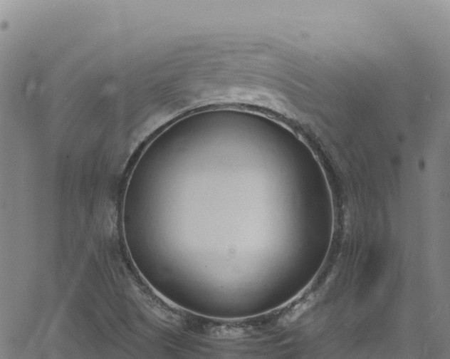 X0000062931505200601181256