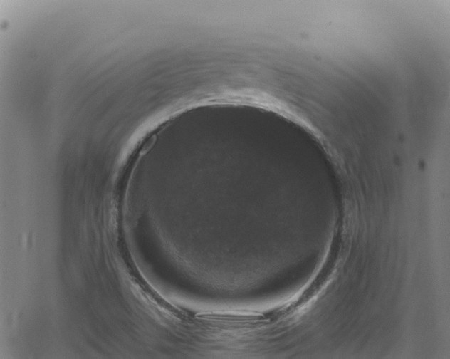 X0000062931506200601181256