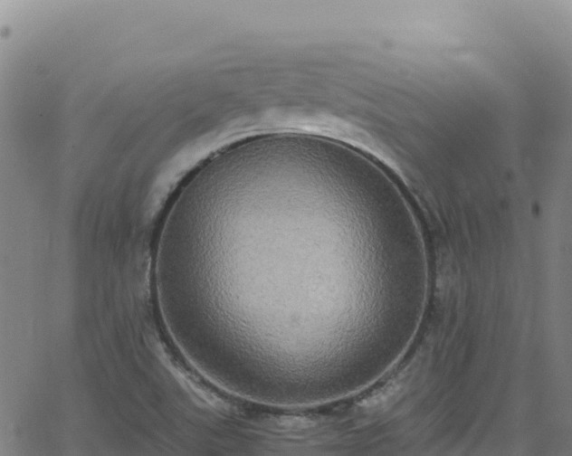 X0000062931507200601181256