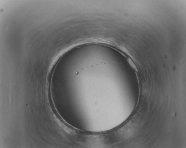 X0000062931508200601181256