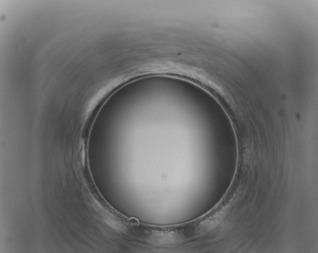 X0000062931509200601181256