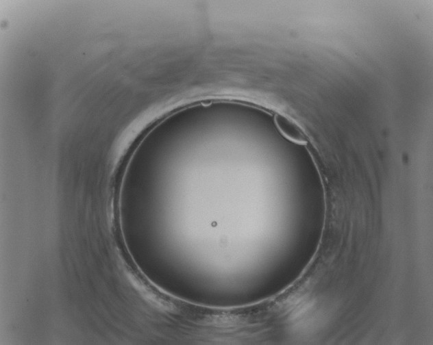 X0000062931511200601181256