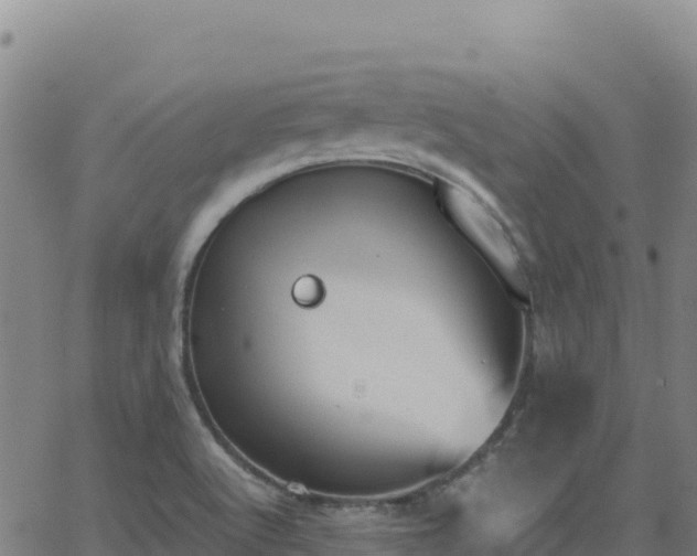 X0000062931512200601181256