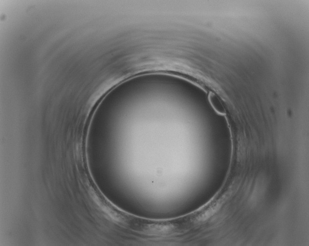 X0000062931513200601181256