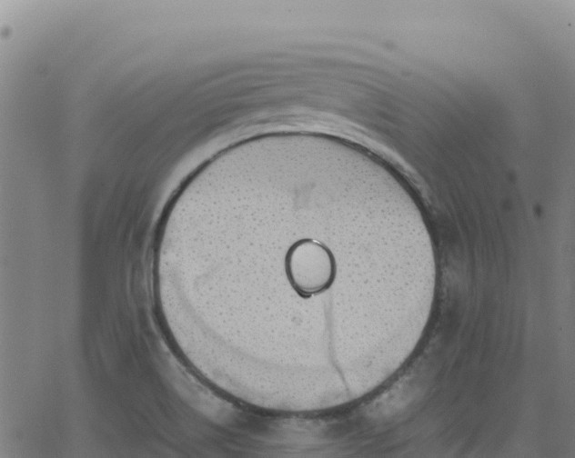 X0000062931514200601181256