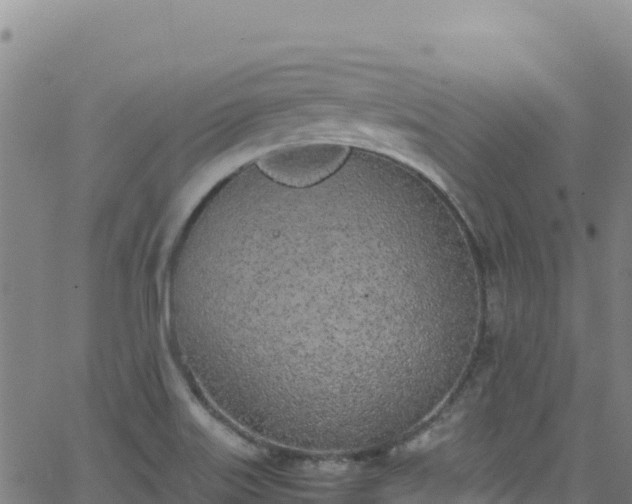 X0000062931515200601181257