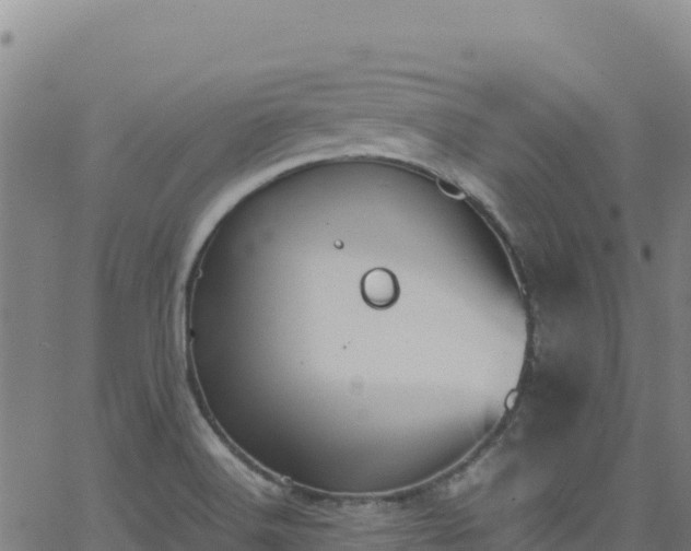 X0000062931516200601181257