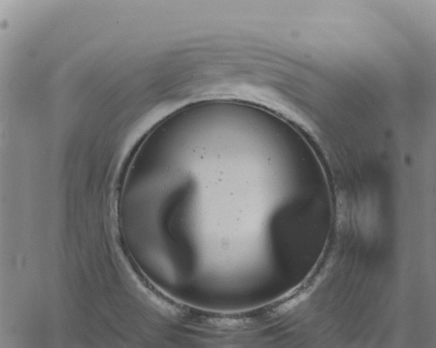 X0000062931517200601181257