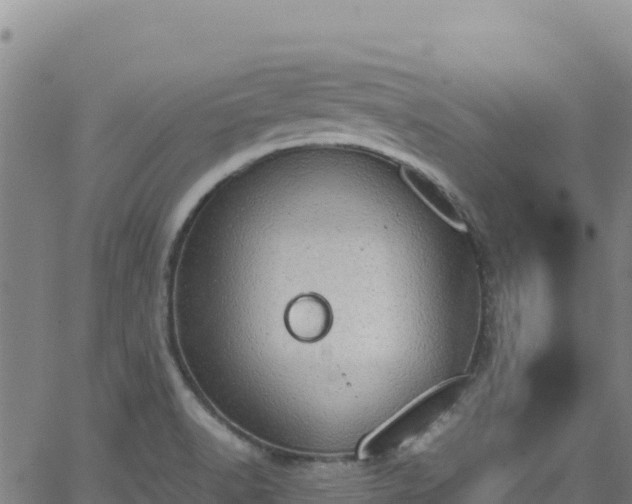 X0000062931518200601181257