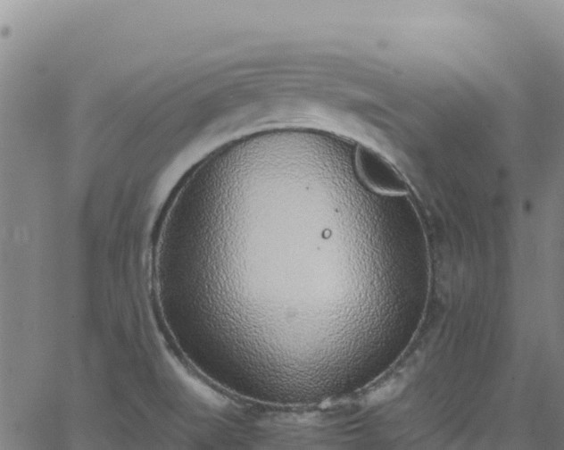 X0000062931519200601181257