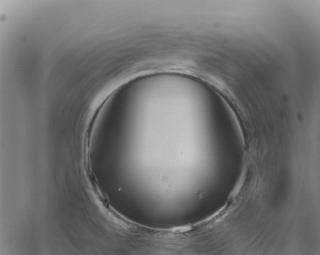 X0000062931520200601181257