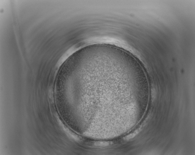 X0000062931521200601181257