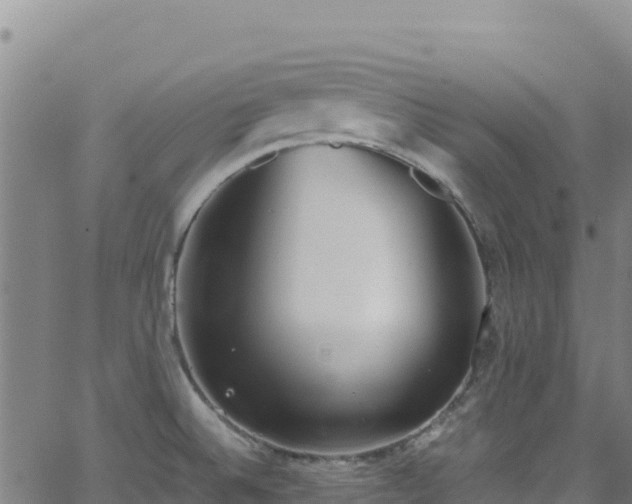 X0000062931524200601181257