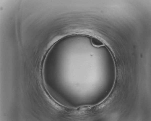 X0000062931525200601181257