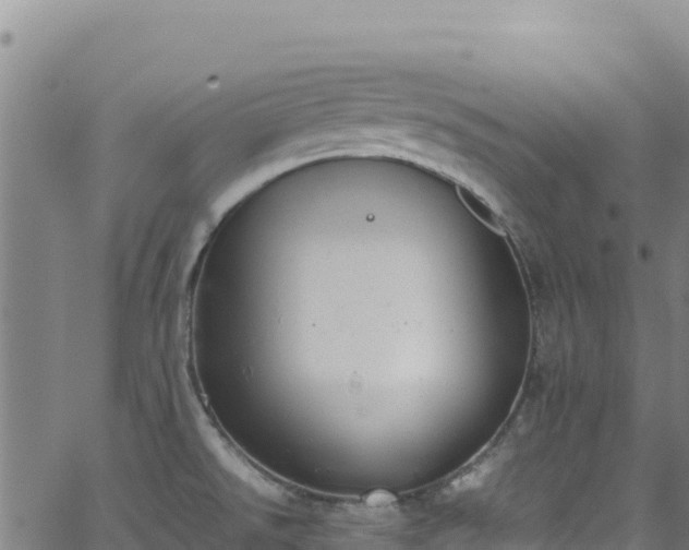 X0000062931526200601181257