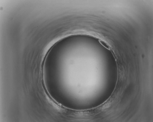 X0000062931527200601181257