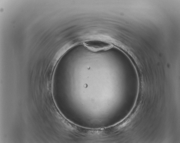 X0000062931529200601181257