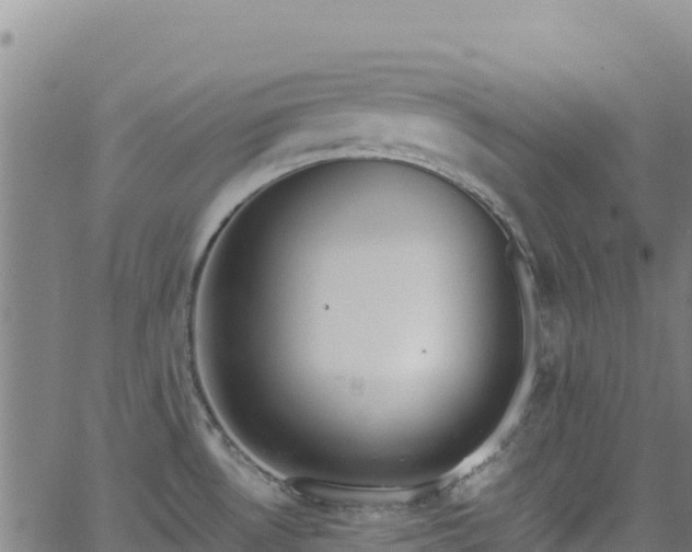 X0000062931530200601181257