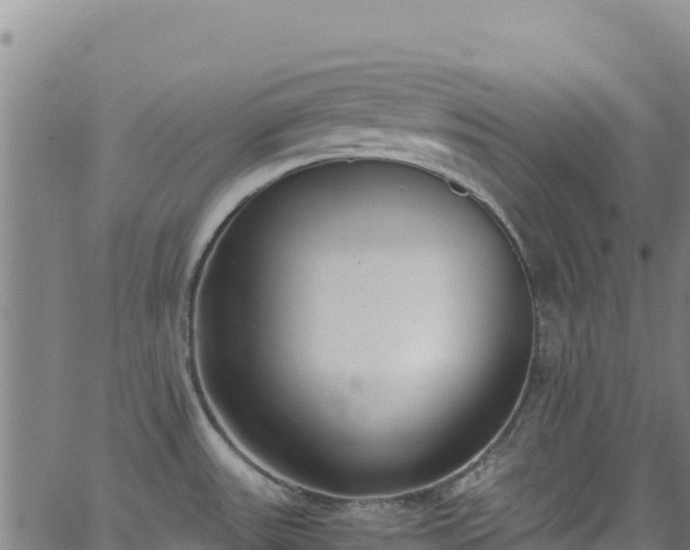 X0000062931531200601181257