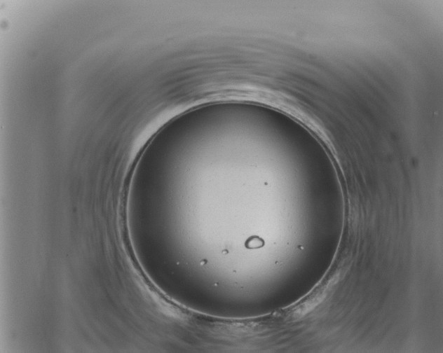 X0000062931533200601181257