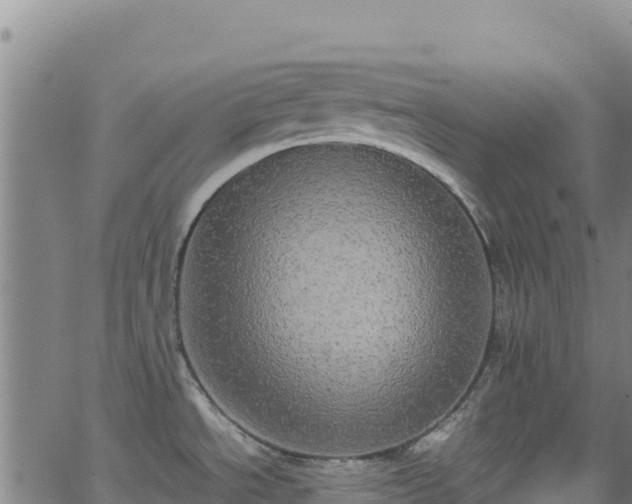 X0000062931534200601181257