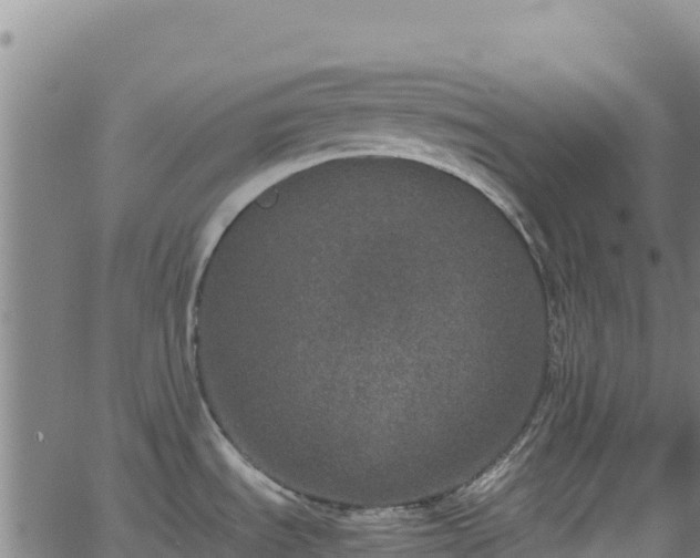 X0000062931535200601181257