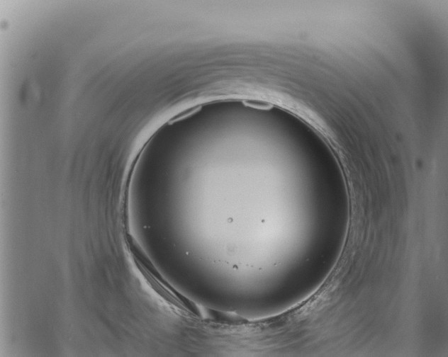 X0000062931536200601181257