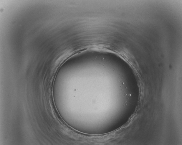 X0000062930001200601202038