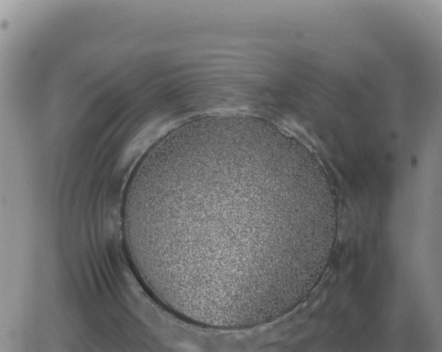 X0000062930002200601202038