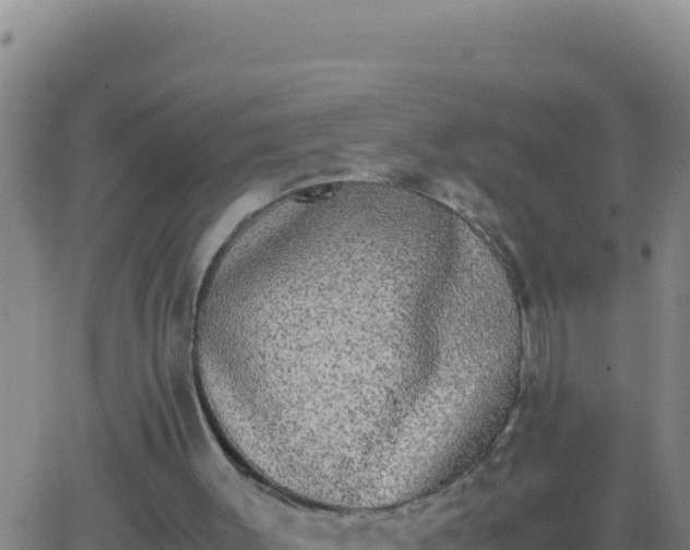 X0000062930003200601202038