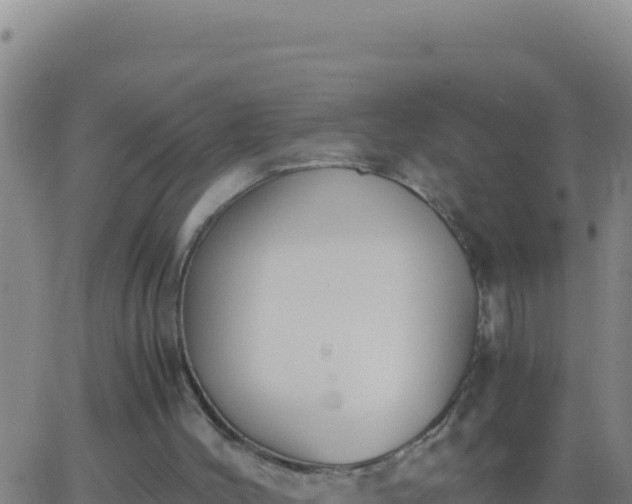 X0000062930004200601202038